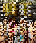 《鸭王1》电视剧粤语在线观看全集高清